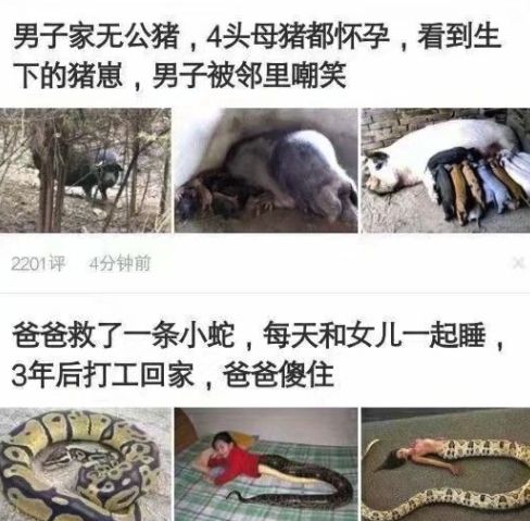 要优雅不要污：你见过哪些沙雕新闻？