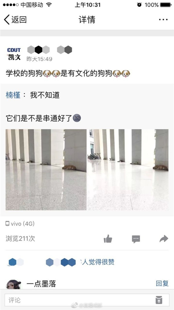 要优雅不要污：为什么要说少壮不努力长大做设计？